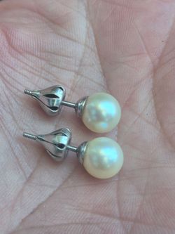 8mm 14k Pearl Earrings
