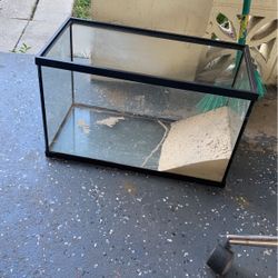 Fish Tank 