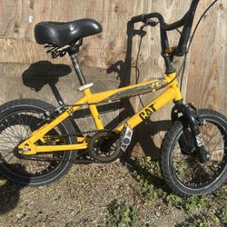 Boys 16” Bike 