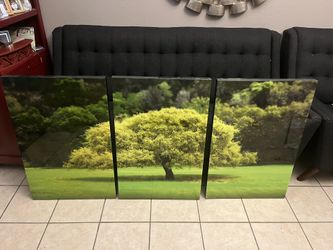 Picture Frame