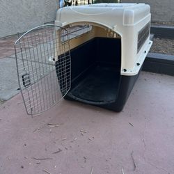 Large Kennel
