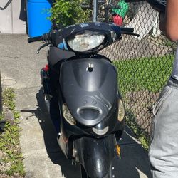 80cc Ice Bear 