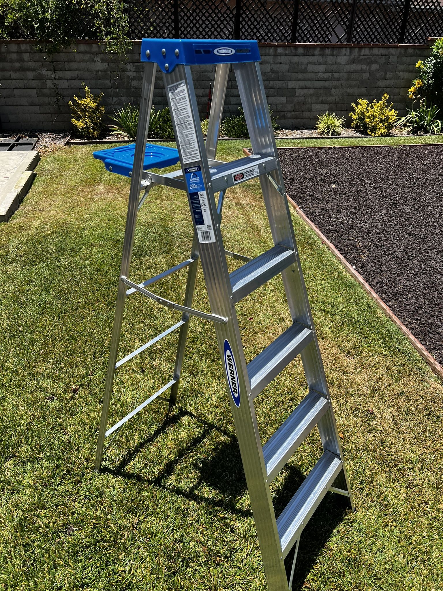 Werner 6 Foot Step Ladder