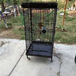 Bird Cage Rat Cage 