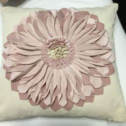 Decorative Pillow 17 X 17 