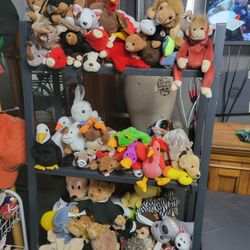 Beany Babies 2 For 5 Dollars None Have Tags