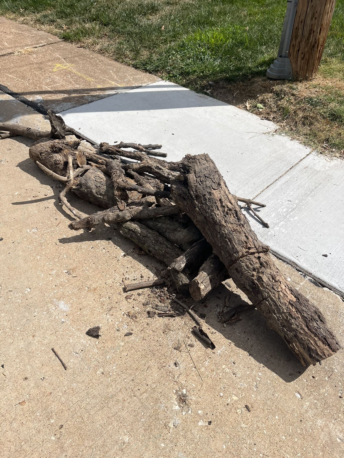 Free Wood