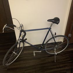 Old School Nishiki Royal 27”