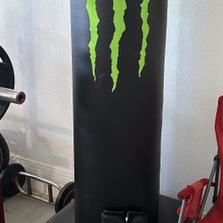 Monster Punching Bag And Gloves