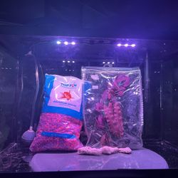 10 Gallon Fish Tank Kit 