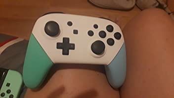 Animal Crossing Nintendo Switch Pro Controller Brand New