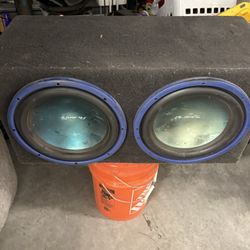 12” Subwoofer 