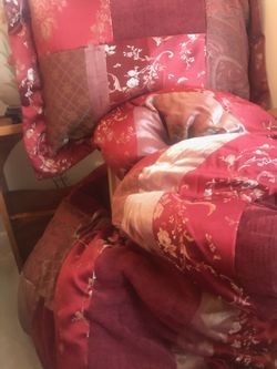 Queen Size comforter and matching pillows