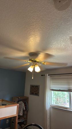Free ceiling fan with light