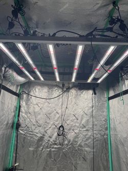 Mars Hydro 480 watt LED grow light