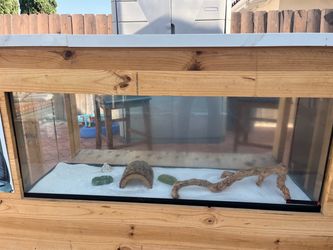 50 gallon aquarium