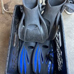 Dive Fins