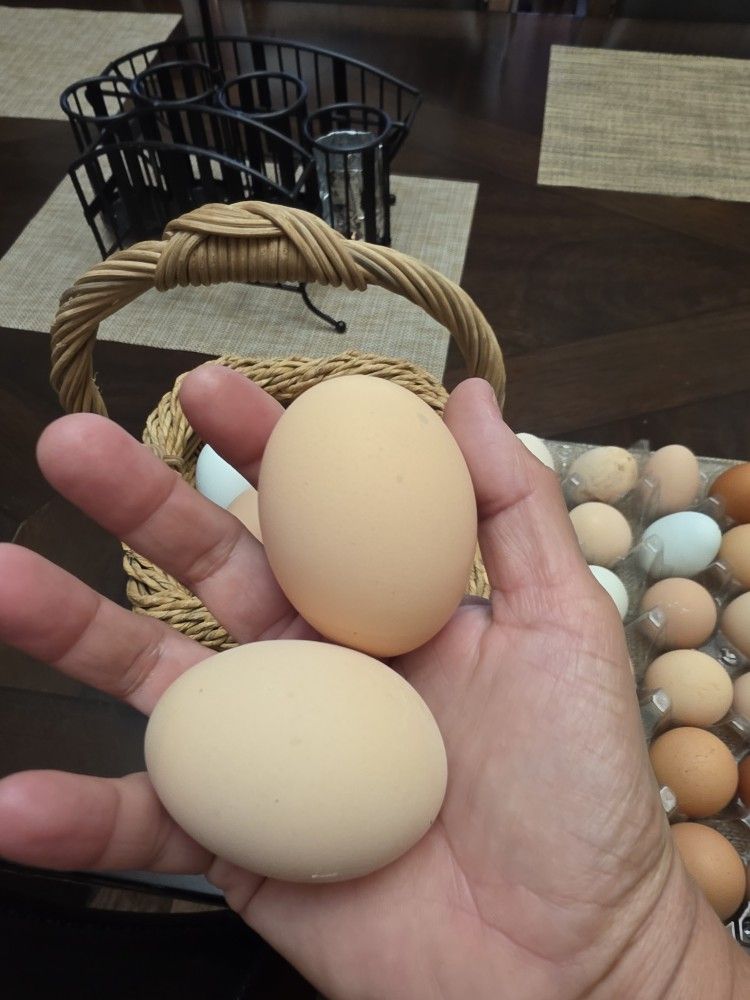 Fresh Farm Eggs -unwashed