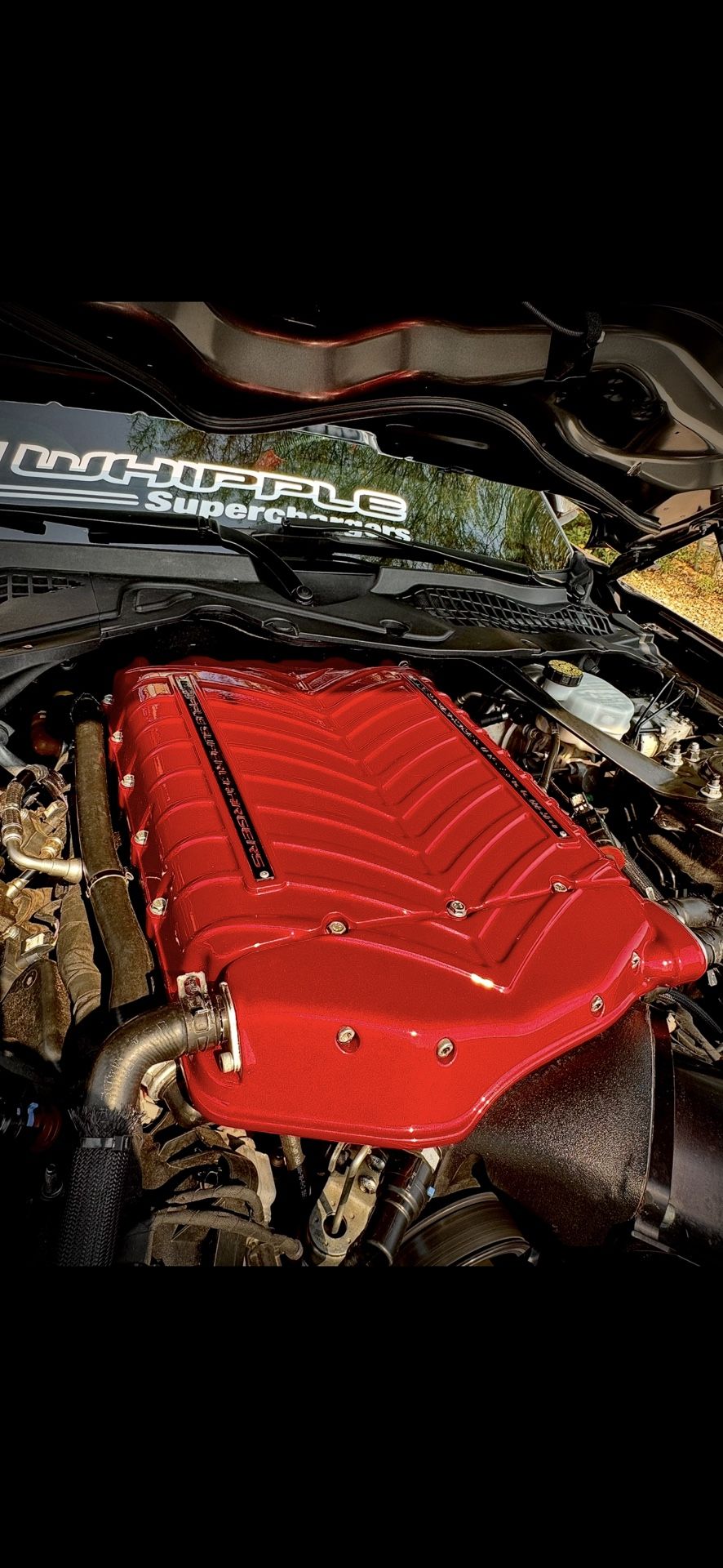 Ford Mustang 5.0 Whipple Supercharger