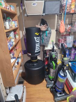 Everlast Heavy Bag
