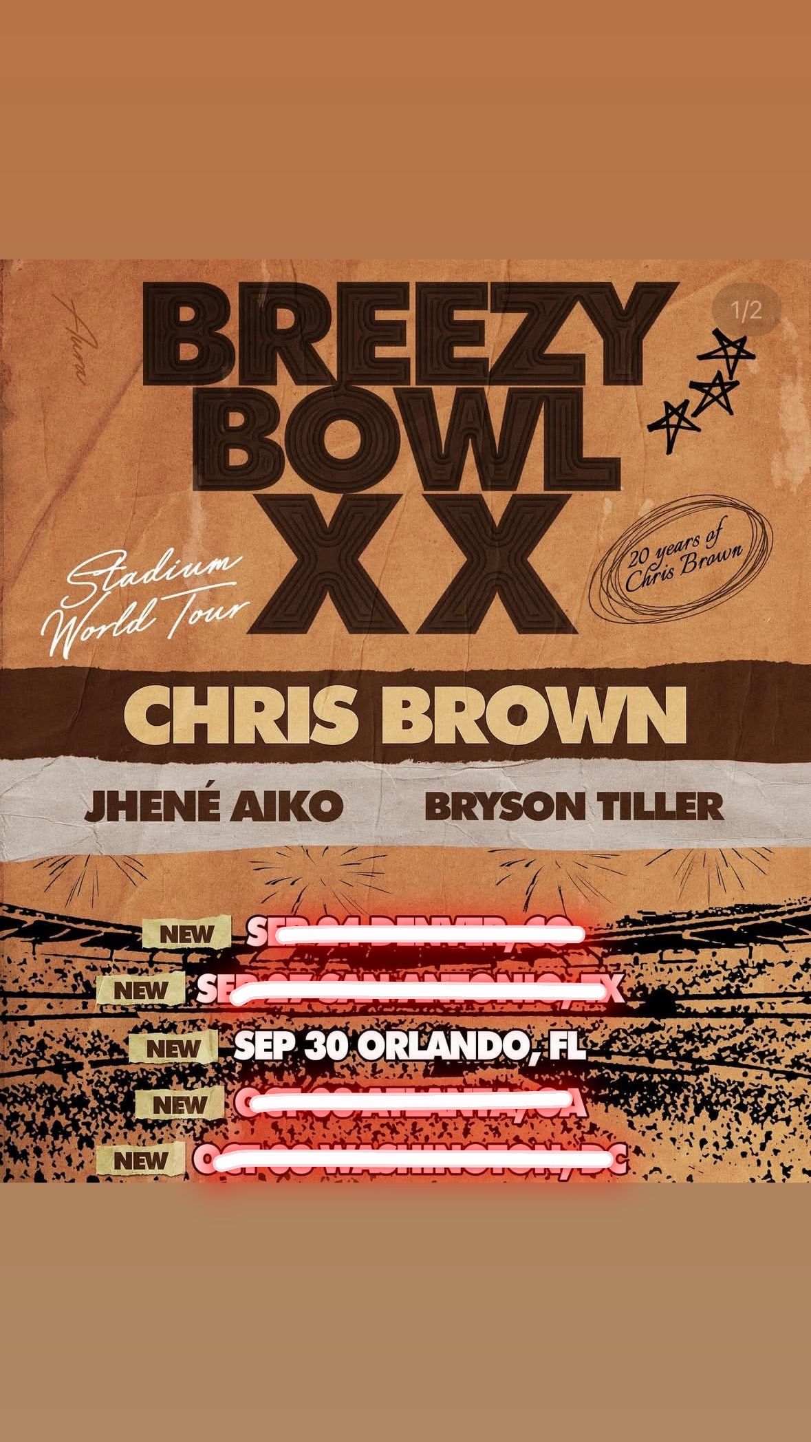 Chris Brown Concert