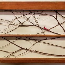 UPCYCLED ART: Lighted Window With Birch Branches and Cardinal