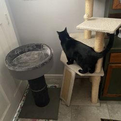 2 Used Cat Towers 