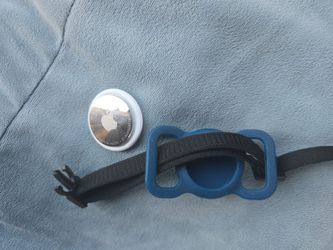 apple airtag and pet collar