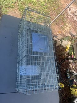 Trap for hunting animals