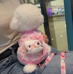 HELLO KITTY DRESS FOR YOUR FUR BANY