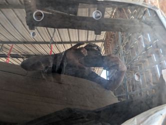 Jeep rear window for a Rubicon