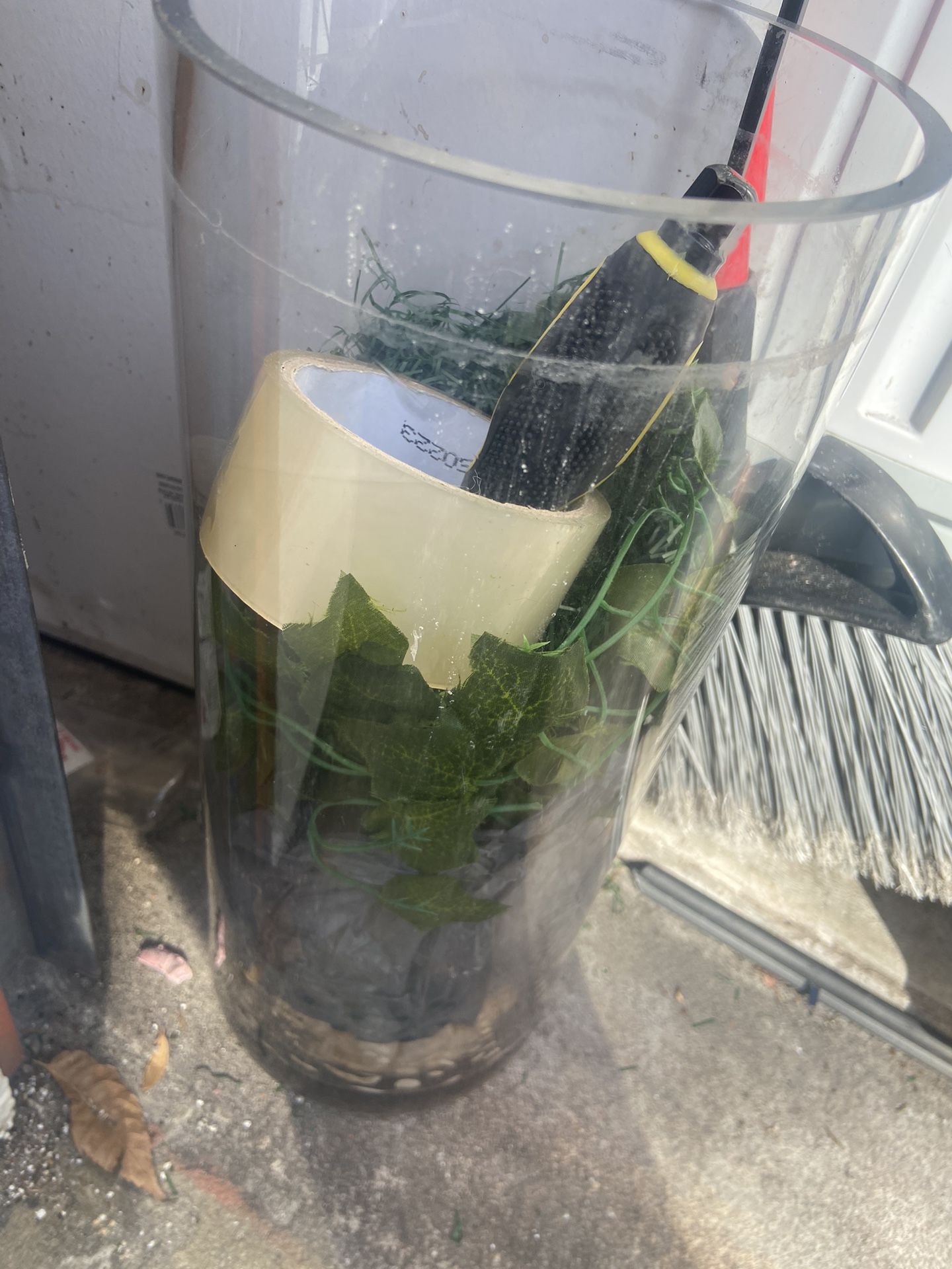Fish Glass Tank With Base