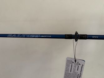 Daiwa Saltist Rod