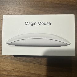Apple Magic Mouse 