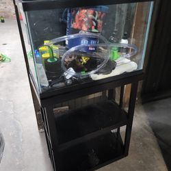 20 gallon fish tank and stand plus accessories