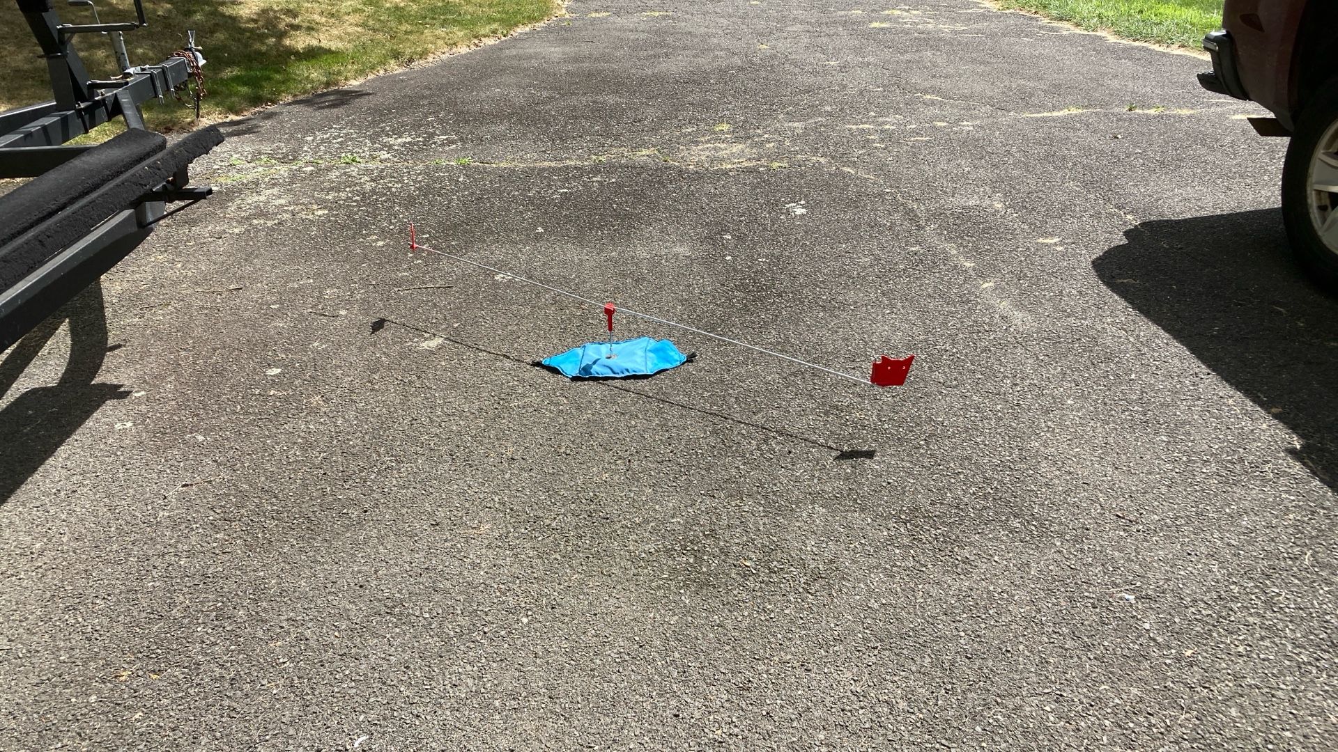 seagull /bird repeller