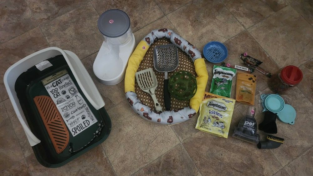 Cat Items