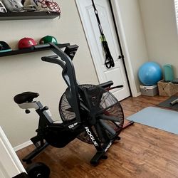 Title: Rogue Echo Bike – Great Condition, Barely Used