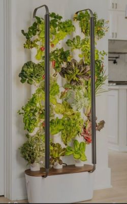 Indoor Vertical Hydroponic Tower Garden