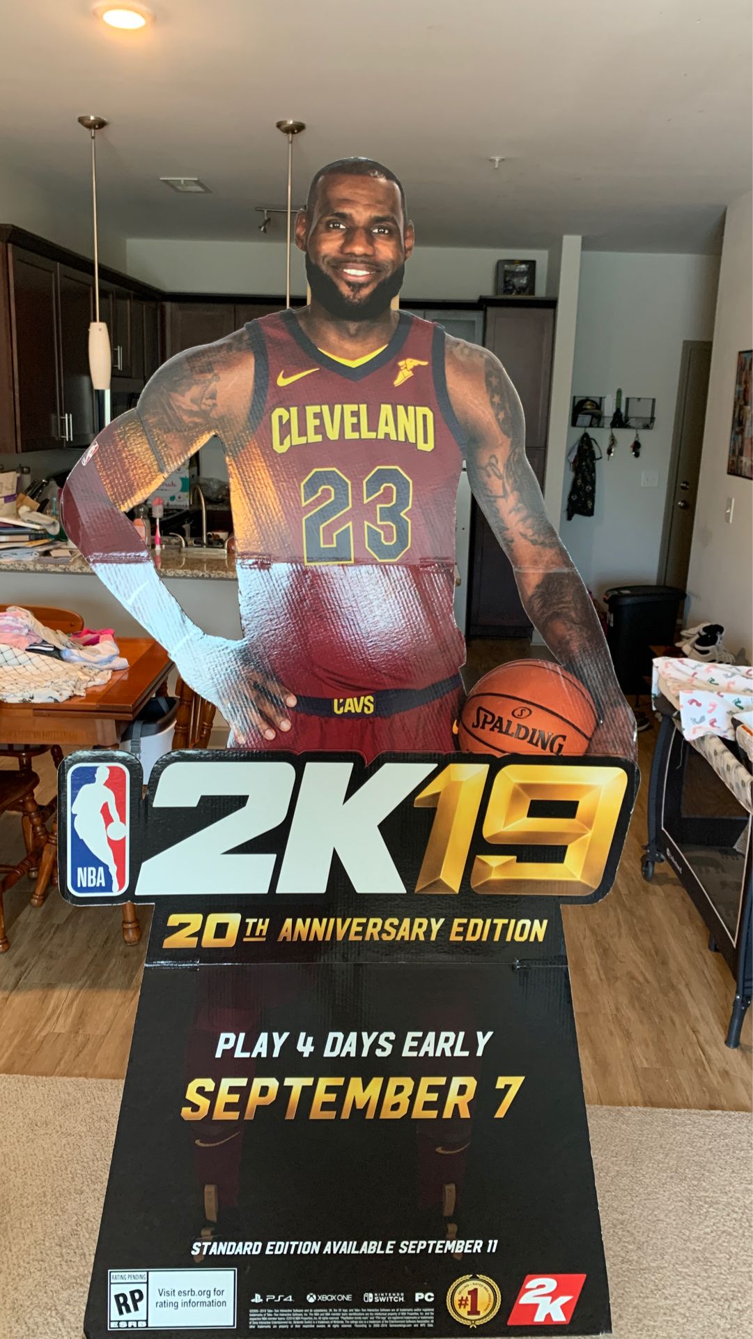 Lebron james cardboard