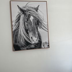 Large Horse Picture 