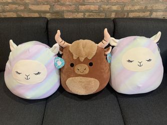 Squishmallows 16”