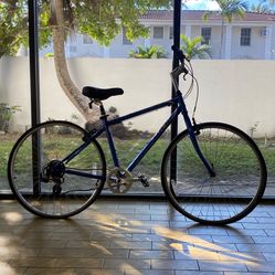 Vintage Trek Bicycle