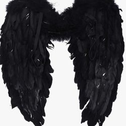 Black Feathered Wings 