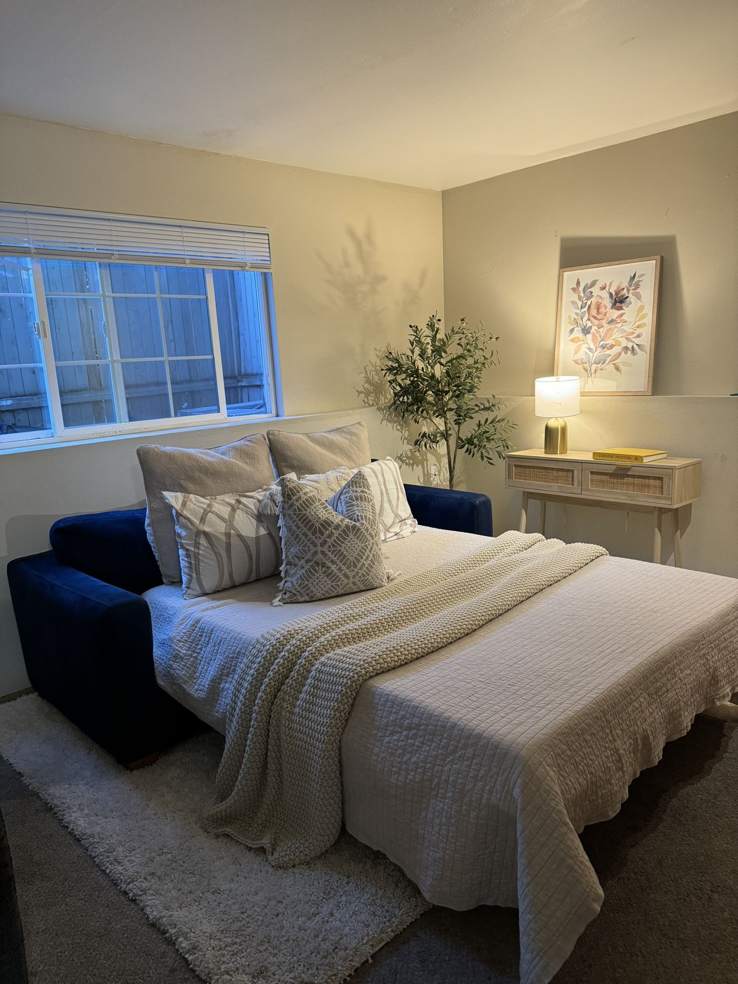 Queen Sleeper Sofa Velvet