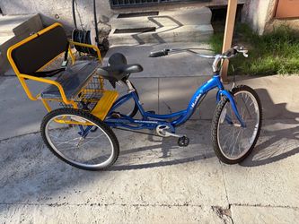 Bike with back seat for 2 or 3 people