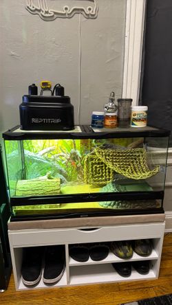 Reptile setup