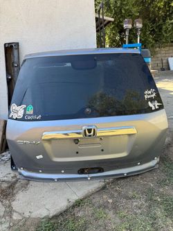 Rear tail gate door