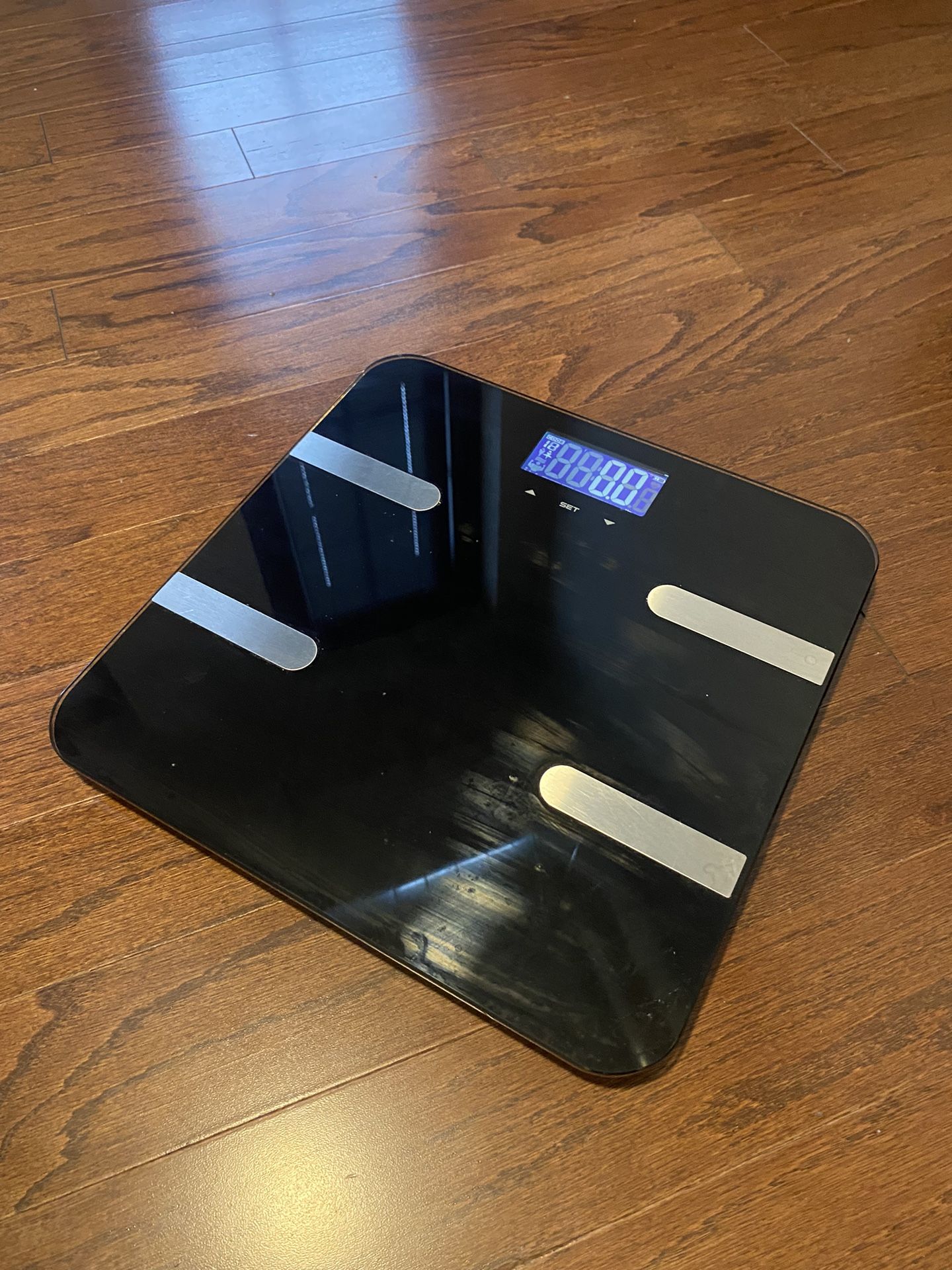 Body Weight Scale