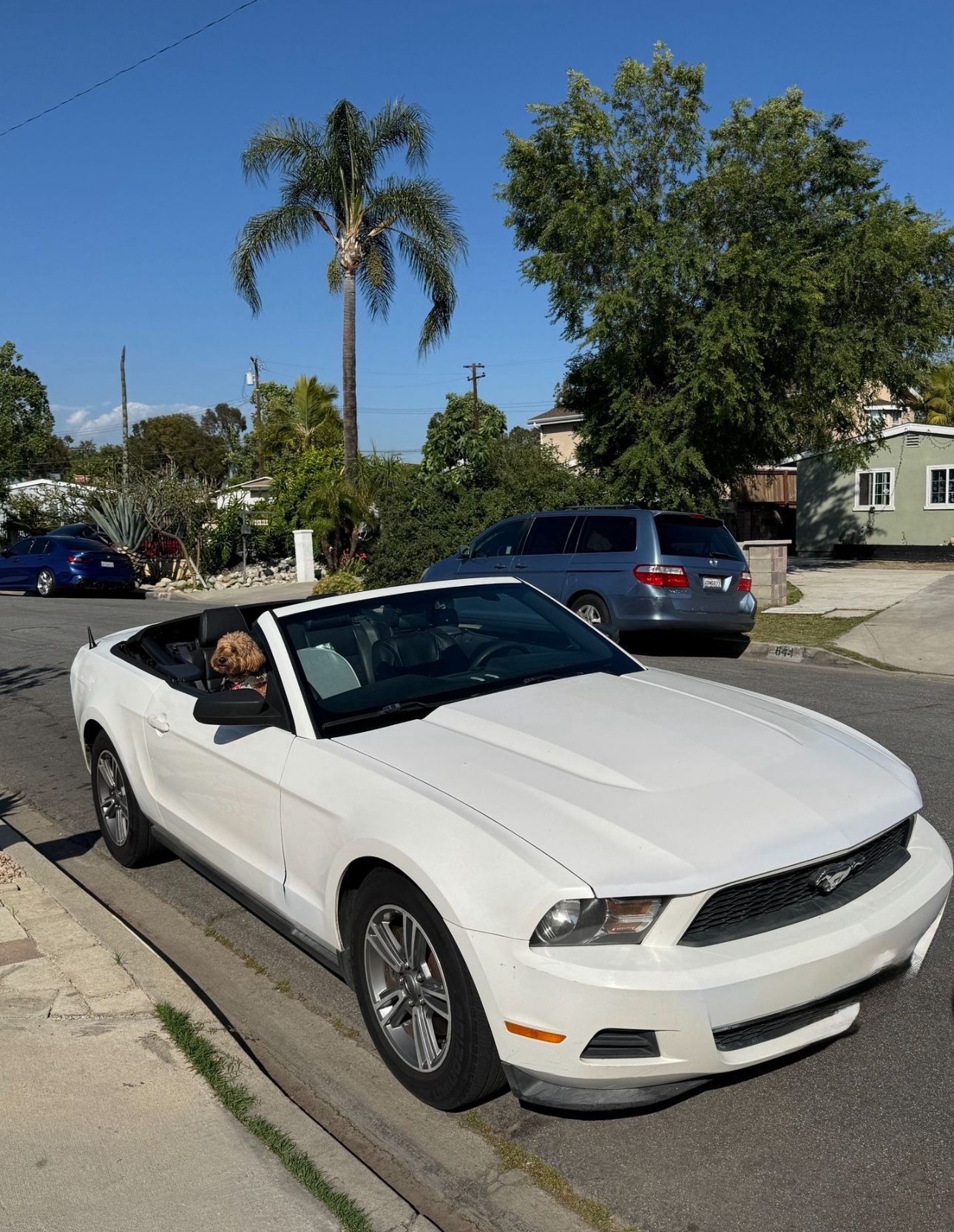 2012 Ford Mustang